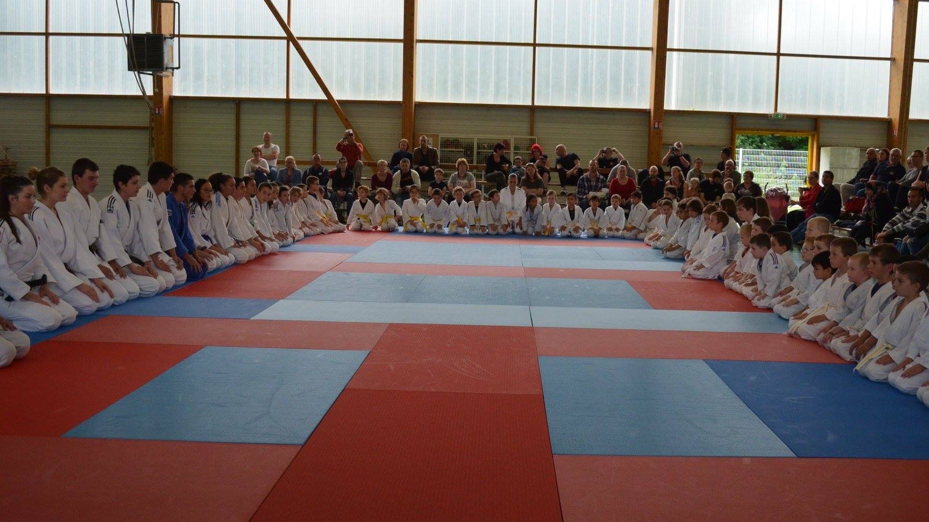 Alliance Judo Toulois